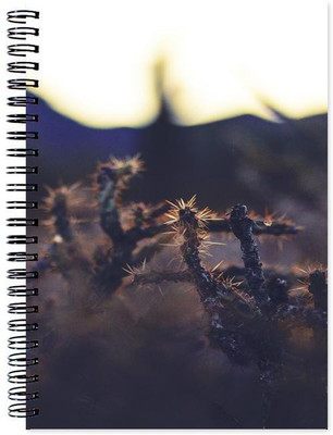 

Little Jaipur A5 Note Book(Designer, Multicolor)