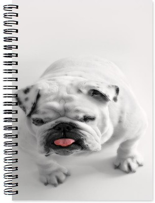 

Chesta Enterprises A5 Note Book(Designer, Multicolor)