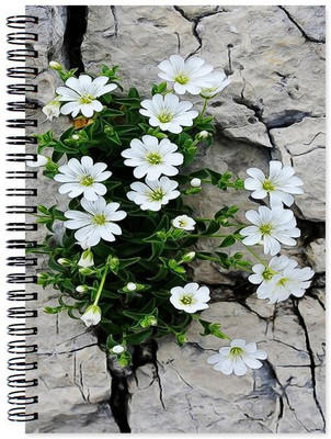 

VenTechno A5 Diary(Flower Designer Wirebound Ruled Paper Sheets Personal and Office Stationary Notebooks Diary, Multicolor)