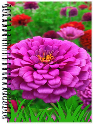

Chesta Enterprises A5 Note Book(Designer, Multicolor)