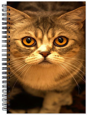 

Chesta Enterprises A5 Note Book(Designer, Multicolor)