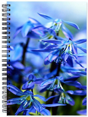 

Chesta Enterprises A5 Note Book(Designer, Multicolor)