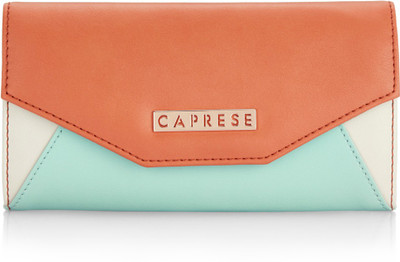 

Caprese Casual Multicolor Clutch