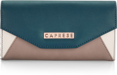 

Caprese Casual Multicolor Clutch