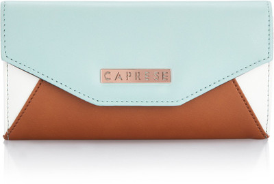 

Caprese Casual Multicolor Clutch