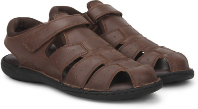 

Hush Puppies Men Brown Casual