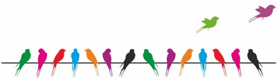 Sree Cart Small Wall sticker decals Colourful parrot Sticker(Pack of 1) available at flipkart for Rs.99
