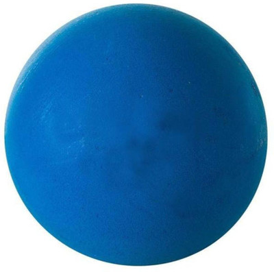 

VICTORY Beach Ball Cricket Rubber Ball(Pack of 6, Blue)