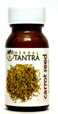 

Herbal Tantra Carrot Seed Essential Oil 25 ml(25 ml)