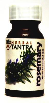 

Herbal Tantra Rosemary Essential Oil 25 ml(25 ml)