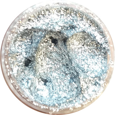 

Flikerway Professional Magic Glitter Gel 5 g(Bright Silver (16))