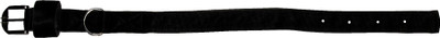 

Jainsons Pet Products Dog Everyday Collar(, BLACK