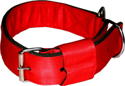 

Jainsons Pet Products Dog Everyday Collar(, RED