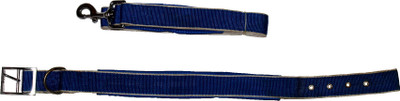 

Jainsons Pet Products Dog Collar & Leash(, Blue-White