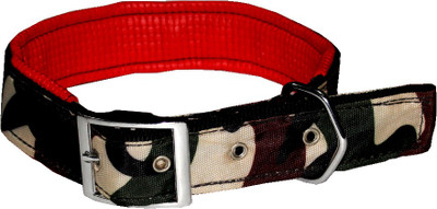 

Jainsons Pet Products Dog Everyday Collar(, RED