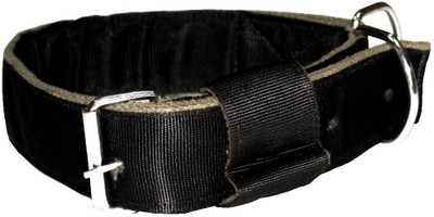 

Jainsons Pet Products Dog Everyday Collar(, BLACK