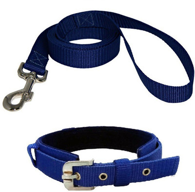

Furious3D Dog Collar & Leash(, BLUE