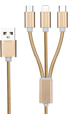 

bs power EZ310 USB C Type Cable(Gold)
