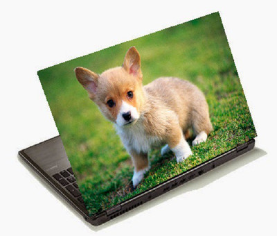 

Richerbrand Laptop Sticker 15.6 inch-Laptop Skin-248 Vinyl Laptop Decal 15.6