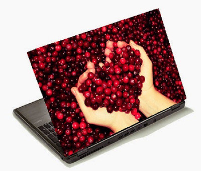 

Richerbrand Laptop Sticker 15.6 inch-Laptop Skin-290 Vinyl Laptop Decal 15.6