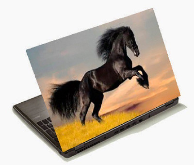 

Richerbrand Laptop Sticker 15.6 inch-Laptop Skin-425 Vinyl Laptop Decal 15.6