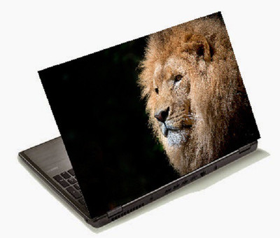 

Richerbrand Laptop Sticker 15.6 inch-Laptop Skin-489 Vinyl Laptop Decal 15.6