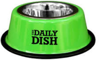 

ubspetshop.com Round Steel Pet Bowl(450 ml Green)