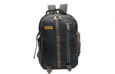 

ADISON ADPLATSERLPTPBKPK3 30 L Laptop Backpack(Grey, Black), Black;grey