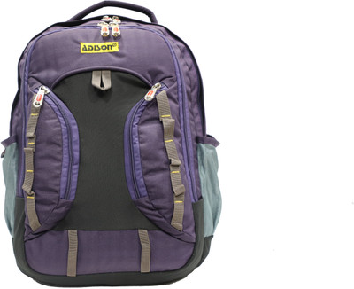 

ADISON ADPLATSERLPTPBKPK 30 L Laptop Backpack(Purple)