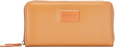 

Caprese Casual Brown Clutch