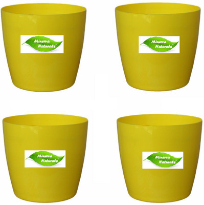 

Minerva Naturals Table top Plant Container Set(Pack of 4, Plastic)