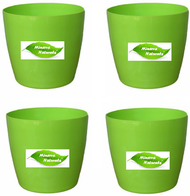 

Minerva Naturals Table top Plant Container Set(Pack of 4, Plastic)