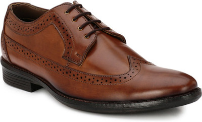 

Mactree Pounder Brogues For Men(Brown