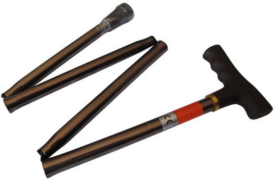 

none bhum101 Walking Stick