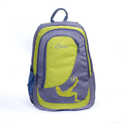

Oasis School Backpack 30L 30 L Backpack(Blue, Brown, Green, Purple, Grey)