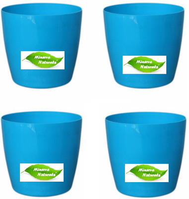 

Minerva Naturals Table top planter Plant Container Set(Pack of 4, Plastic)