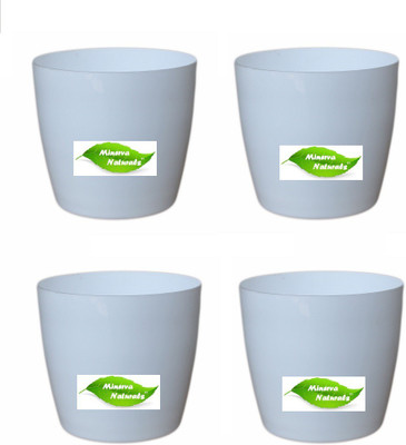 

Minerva Naturals Table top planter Plant Container Set(Pack of 4, Plastic)
