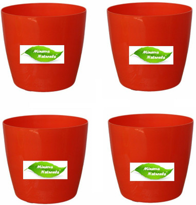 

Minerva Naturals Table top Plant Container Set(Pack of 4, Plastic)
