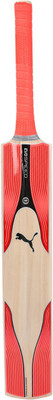 

Puma evoSPEED KW 4 X EDGE Bat English Willow Cricket Bat(, 700
