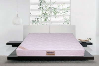 

Springtek Latex Plus 5 inch Queen Bonded Foam Mattress