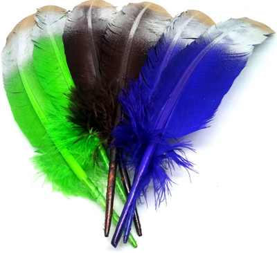 

Aadya Crafts Colourful Feathers Shaded Large