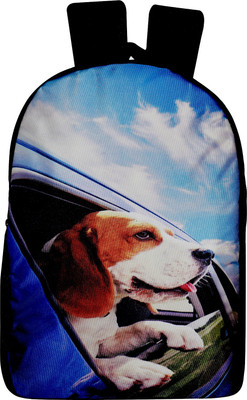 

Nirang NRB1501 23 L Laptop Backpack(Multicolor, Blue), Blue;multi-colour