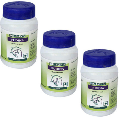 

Dr. Jain's Pudina Powder Pack Of 3(50 g)