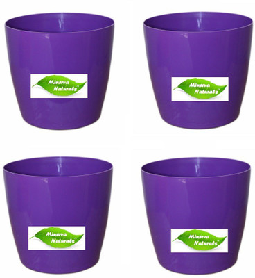 

Minerva Naturals Table top planter Plant Container Set(Pack of 4, Plastic)