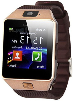 

ETN JQL_432J DZ09_4G Smartwatch(Brown Strap XL)