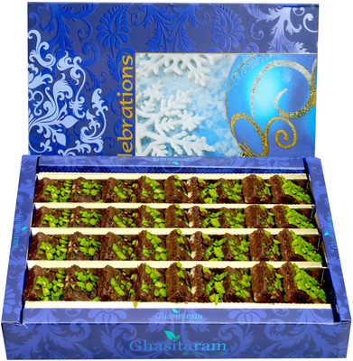 

Ghasitaram Gifts Kaju Chocolate Dryfruit Delight(800 g, Box)