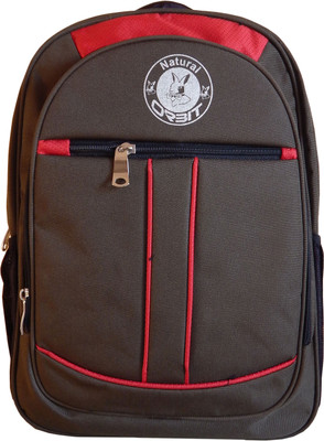 

Orbit 15.6 inch Laptop Backpack(Green, Red)