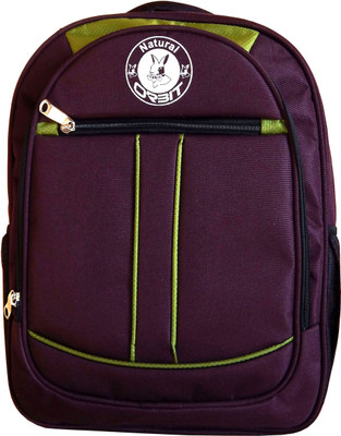 

Orbit 15.6 inch Laptop Backpack(Maroon, Green), Green;maroon