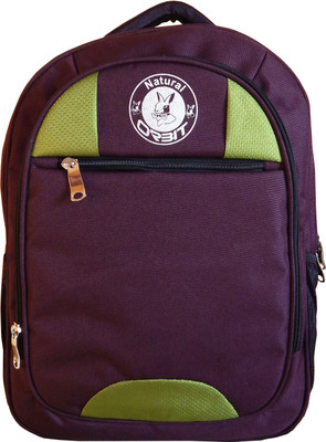 

Orbit 15.6 inch Laptop Backpack(Maroon, Green), Green;maroon