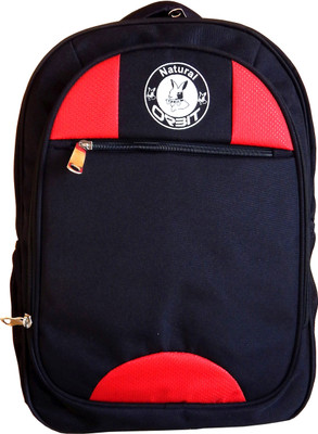 

Orbit 15.6 inch Laptop Backpack(Black, Red)
